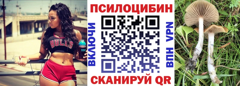 Псилоцибиновые грибы мицелий  МЕГА tor  Киров 
